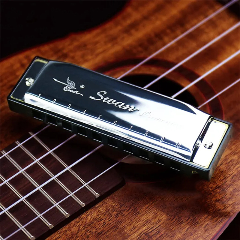 Armónica diatónica de blues en 5 colores pop - color plata
